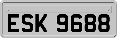 ESK9688