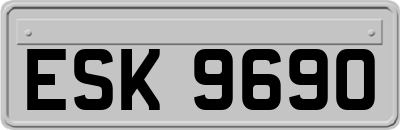 ESK9690