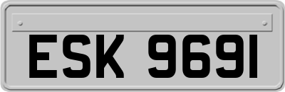 ESK9691