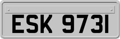 ESK9731