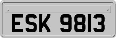 ESK9813