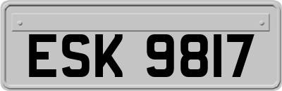 ESK9817