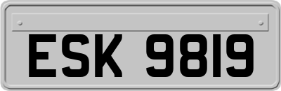 ESK9819