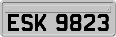 ESK9823