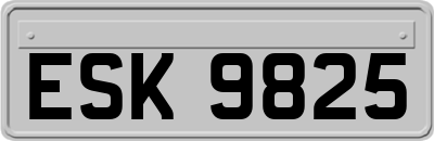 ESK9825