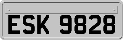 ESK9828