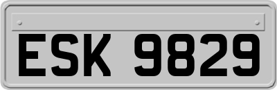 ESK9829