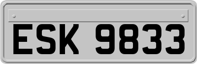 ESK9833