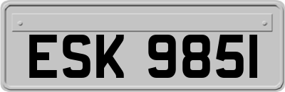 ESK9851