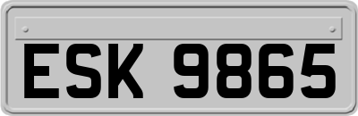 ESK9865