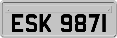 ESK9871