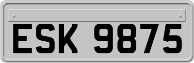 ESK9875