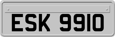 ESK9910