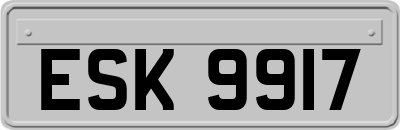 ESK9917