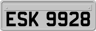 ESK9928