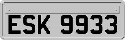 ESK9933