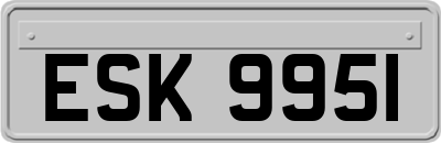 ESK9951