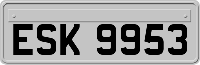 ESK9953