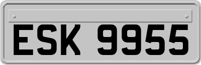 ESK9955