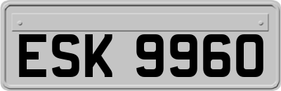 ESK9960