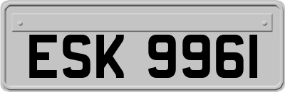 ESK9961