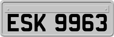 ESK9963