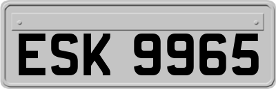 ESK9965