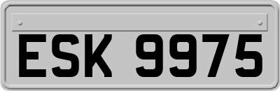 ESK9975