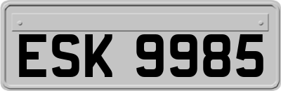 ESK9985