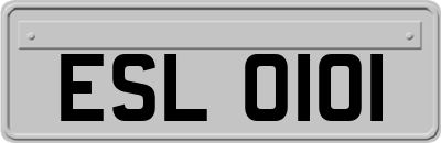 ESL0101