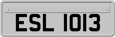 ESL1013