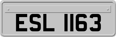 ESL1163