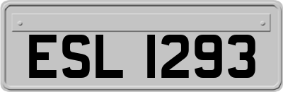 ESL1293