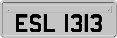 ESL1313