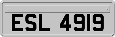 ESL4919