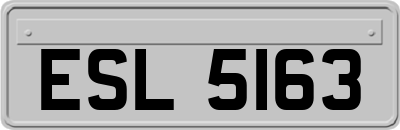 ESL5163