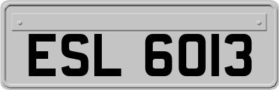 ESL6013