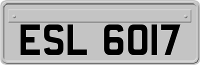 ESL6017
