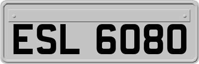 ESL6080