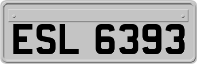 ESL6393