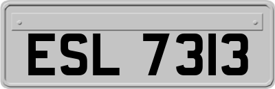 ESL7313