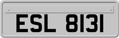 ESL8131