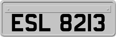 ESL8213