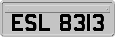 ESL8313