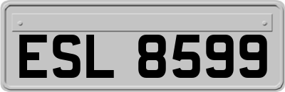 ESL8599