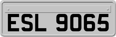 ESL9065