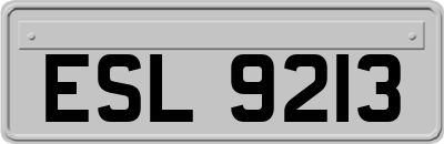 ESL9213