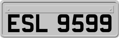 ESL9599
