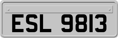 ESL9813