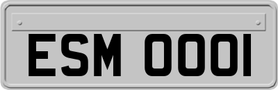 ESM0001